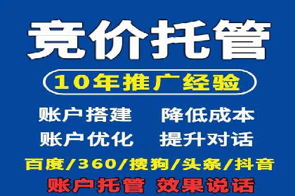 某电商平台的SEM策略与效果展示
