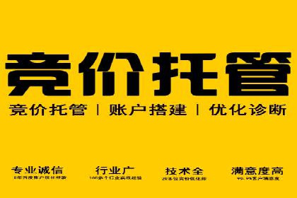 竞价SEM成功案例解析：关键词优化策略